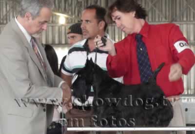 Clique sobre a foto para fechar